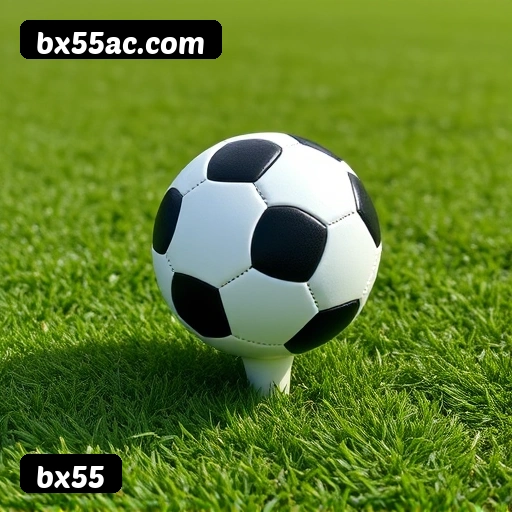 Imagem secundária de apoio para instalação do app bx55